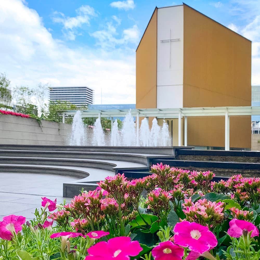 ヒルトン大阪 Hilton Osakaさんのインスタグラム写真 - (ヒルトン大阪 Hilton OsakaInstagram)「ヒルトン大阪の#チャペル は、人気の屋外独立型！﻿  挙式後は、噴水や四季折々の花で彩られた庭園でゲストの皆様と楽しいひとときを。今の時期は“ペチュニア”の花も大切な一日を一緒にお祝いしてくれています。﻿ ﻿ 花言葉は「心のやすらぎ」♪  公式HPはこちら➡ @HiltonOsaka ============================== #hiltonosaka #hiltonosakawedding #ヒルトン大阪 #大阪花嫁」7月28日 17時40分 - hiltonosaka