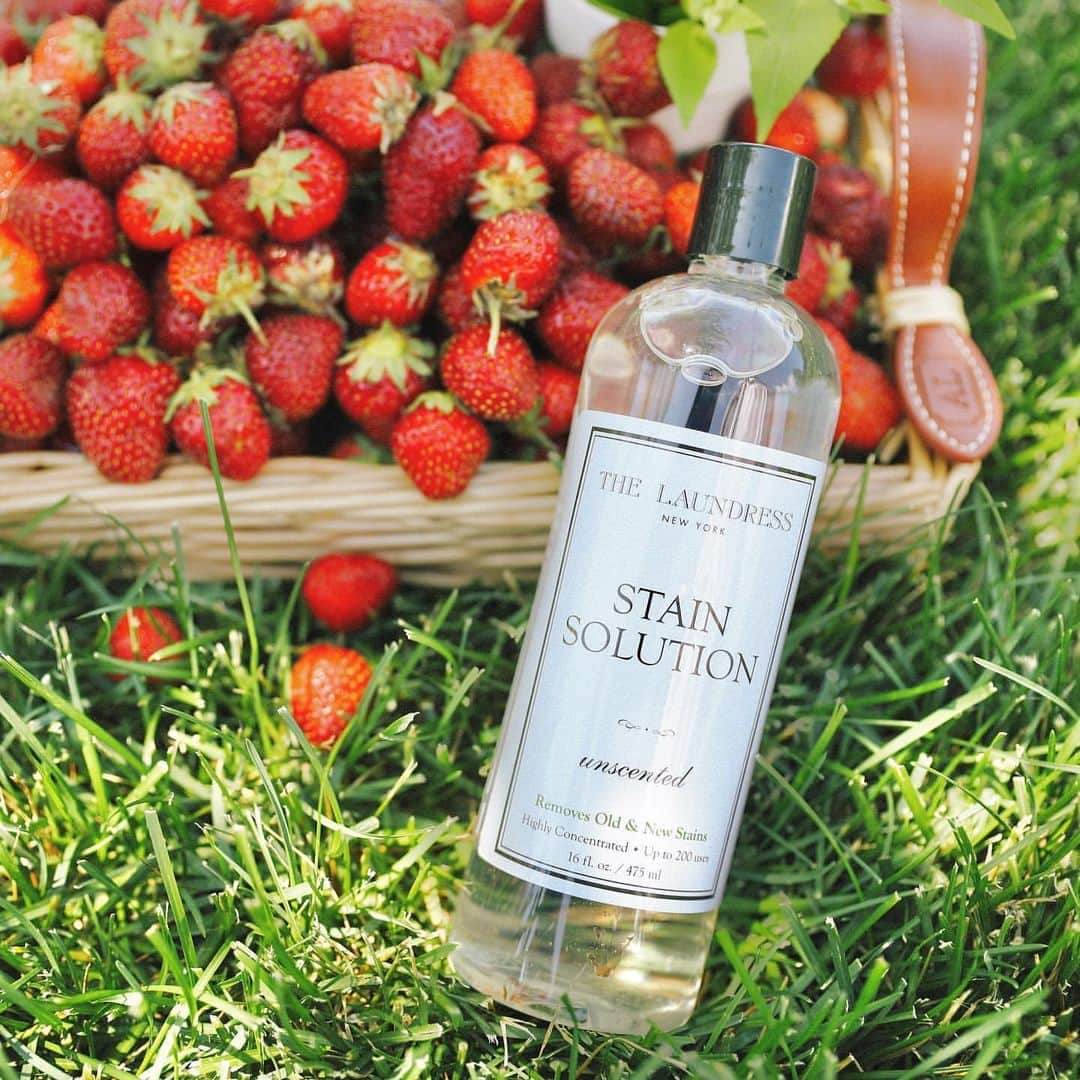 THE LAUNDRESS JPのインスタグラム