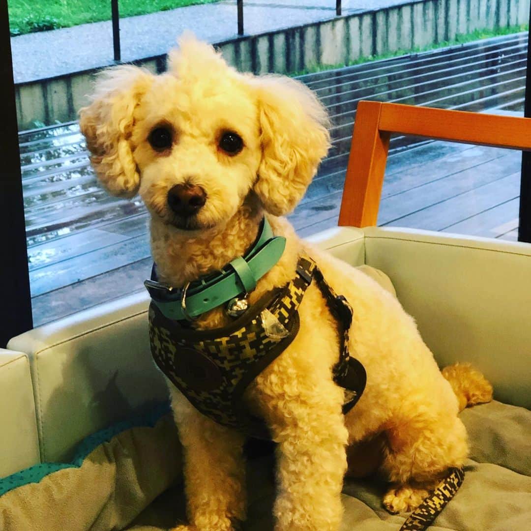 金村義明のグルメインスタ