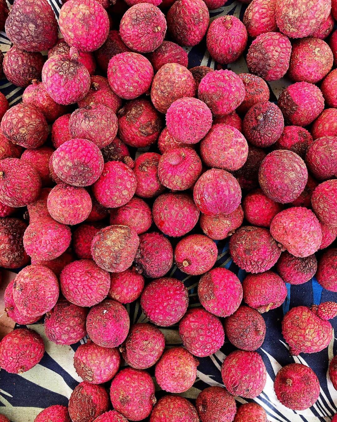 Honolulu Myohoji Missionさんのインスタグラム写真 - (Honolulu Myohoji MissionInstagram)「🦩 #lychee season is over in Hawaii, but it’s a great fruit to have especially if you live in a tropical climate! We will miss the sweet and juicy lychee, but the season of mango has just come! Let us nourish our body with the sweetest gift from the earth ✨  * * * * #ハワイ #ハワイ好きな人と繋がりたい  #ハワイだいすき #ハワイ好き #ハワイに恋して #ハワイ大好き #ハワイ生活 #ハワイ行きたい #ハワイ暮らし #オアフ島 #ホノルル妙法寺 #HawaiianAirlines #ハワイアン航空 #思い出　#honolulumyohoji #honolulumyohojimission #御朱印女子 #開運 #穴場 #パワースポット #hawaii #hawaiilife #hawaiian #luckywelivehawaii #hawaiiliving #hawaiistyle #hawaiivacation」7月29日 6時07分 - honolulumyohoji