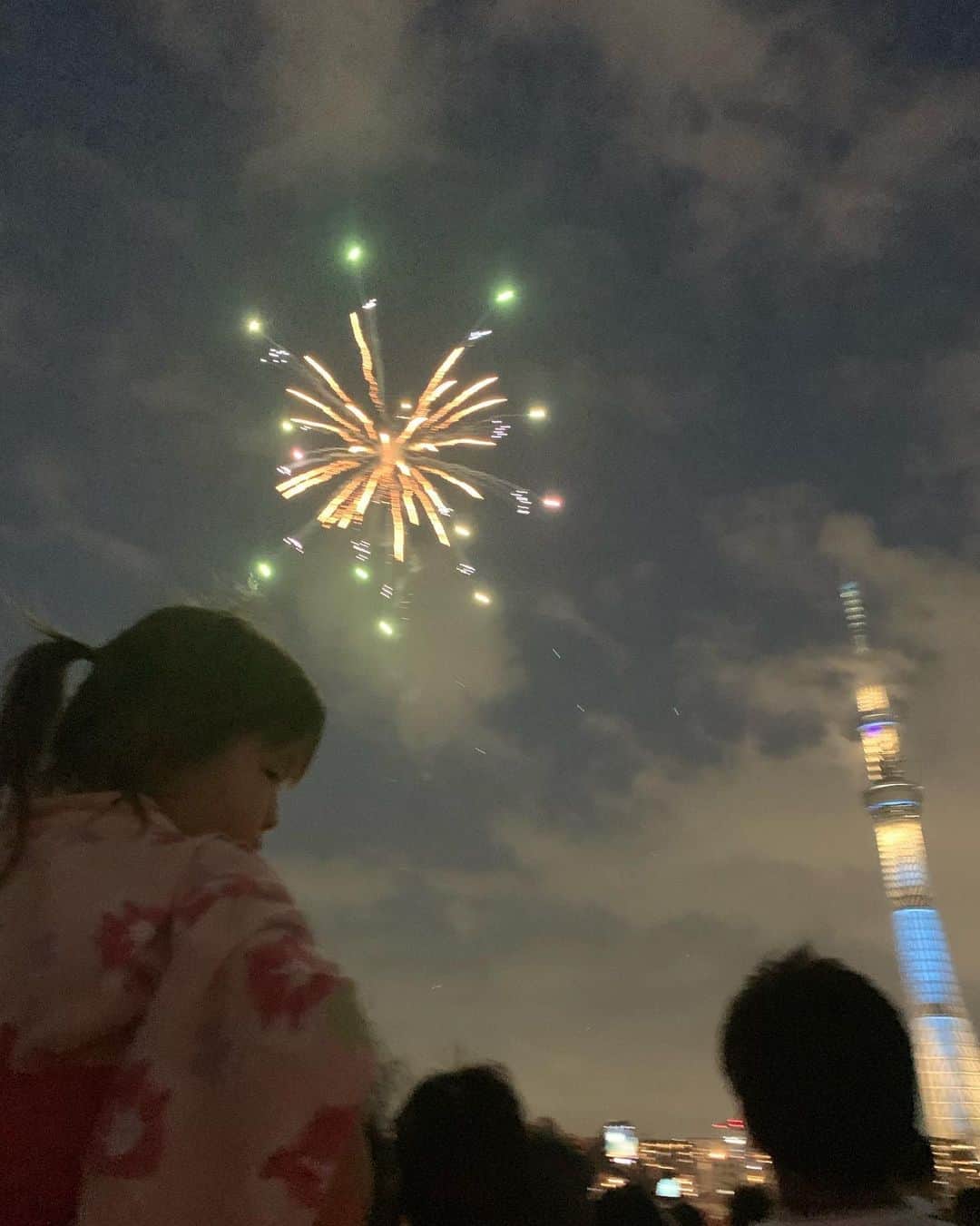 のインスタグラム：「昨年のなまこ誕生日、隅田川花火大会を特等席な友人のマンション屋上に誘ってもらい、見上げていた。  降り注ぐ花火を見返していたら、いつも通りの無邪気な夏を想い、泣けてきてしまった。  最後の動画なんて、音と火と煙で、もはやなにがなにやら、笑っちゃうのだけど。笑  恋しくてたまらない。 . #隅田川花火大会2019」