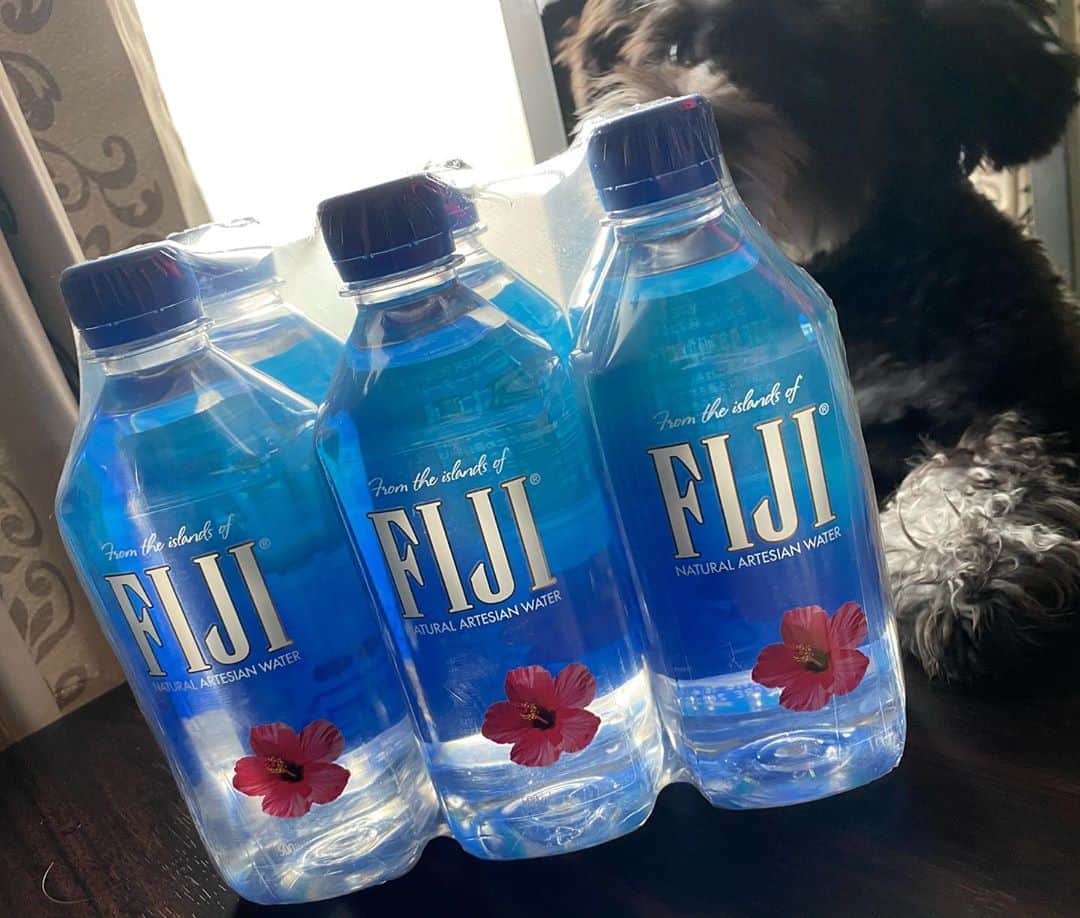 りこぴのインスタグラム：「犬になりたい。」