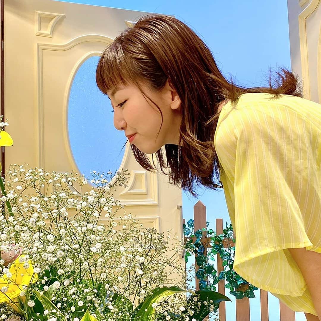 北海道テレビ「イチオシ！モーニング」さんのインスタグラム写真 - (北海道テレビ「イチオシ！モーニング」Instagram)「毎週火曜日、スタジオが素敵な花で彩られた「イチモニ！花曜日」もきょうがラストでした。  キレイなお花を育ててくれた道内の花農家さん、ありがとうございました。 ご協力いただいたＪＡ中央会さま、各地のＪＡさまや生産組合さまにも心より感謝いたします。  最後をかざったお花「かすみ草」の花言葉『感謝』を添えて…  #ＪＡ #みんなのよい花プロジェクト  #ＨＴＢ  #道内の花農家さんいっしょに頑張りましょう！」7月28日 22時53分 - htb_ichimoni