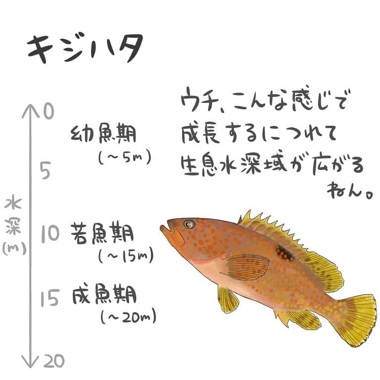 高本采実のインスタグラム
