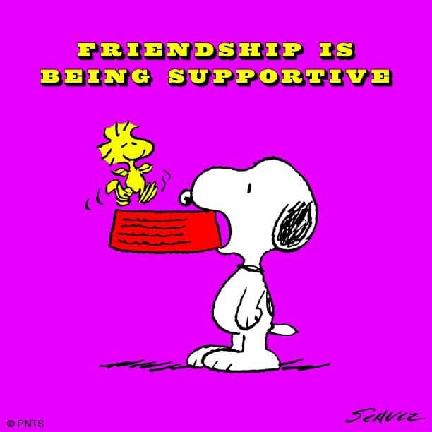 スヌーピーさんのインスタグラム写真 - (スヌーピーInstagram)「Friendship is supporting each other.」7月28日 23時48分 - snoopygrams