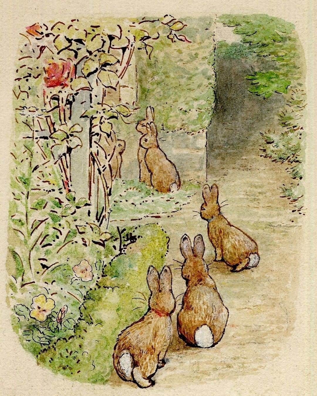 大英博物館さんのインスタグラム写真 - (大英博物館Instagram)「🐰🐇 Beatrix Potter was born #onthisday in 1866. She made these lovely illustrations for her 1909 book ‘The Tale of the Flopsy Bunnies’.  Who’s your favourite Beatrix Potter character?  🔎 Beatrix Potter (1866–1943), illustrations for 'The Tale of the Flopsy Bunnies'. Pen and brown ink and watercolour, 1909.  #BeatrixPotter #FlopsyBunnies #PeterRabbit #illustration #watercolours」7月29日 1時30分 - britishmuseum