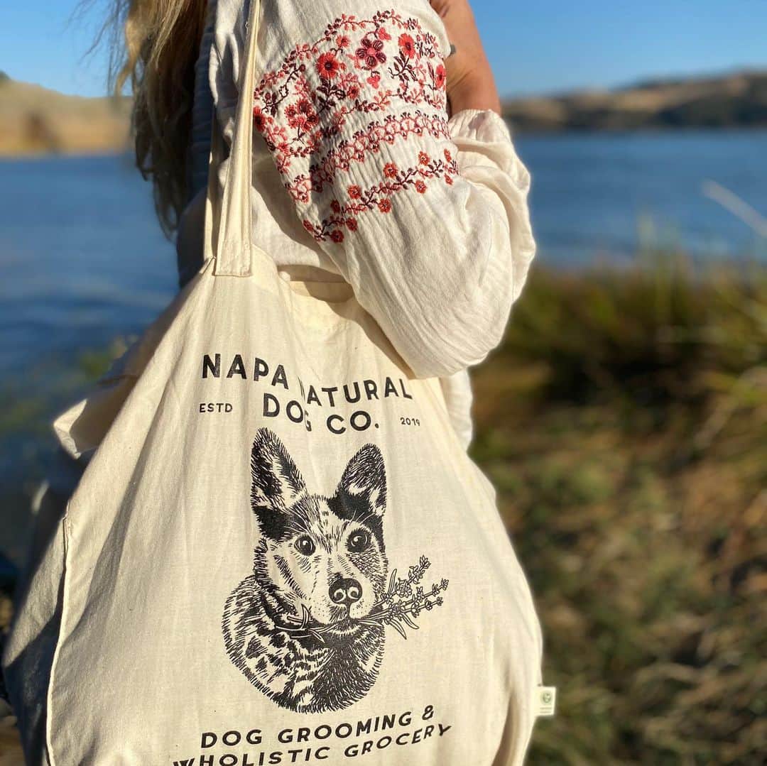 Dogs by Ginaのインスタグラム：「We’re getting so excited over here for whats to come! Our (mostly) eco conscious branded goods will be hitting the web very very soon! Standby! 🐾」