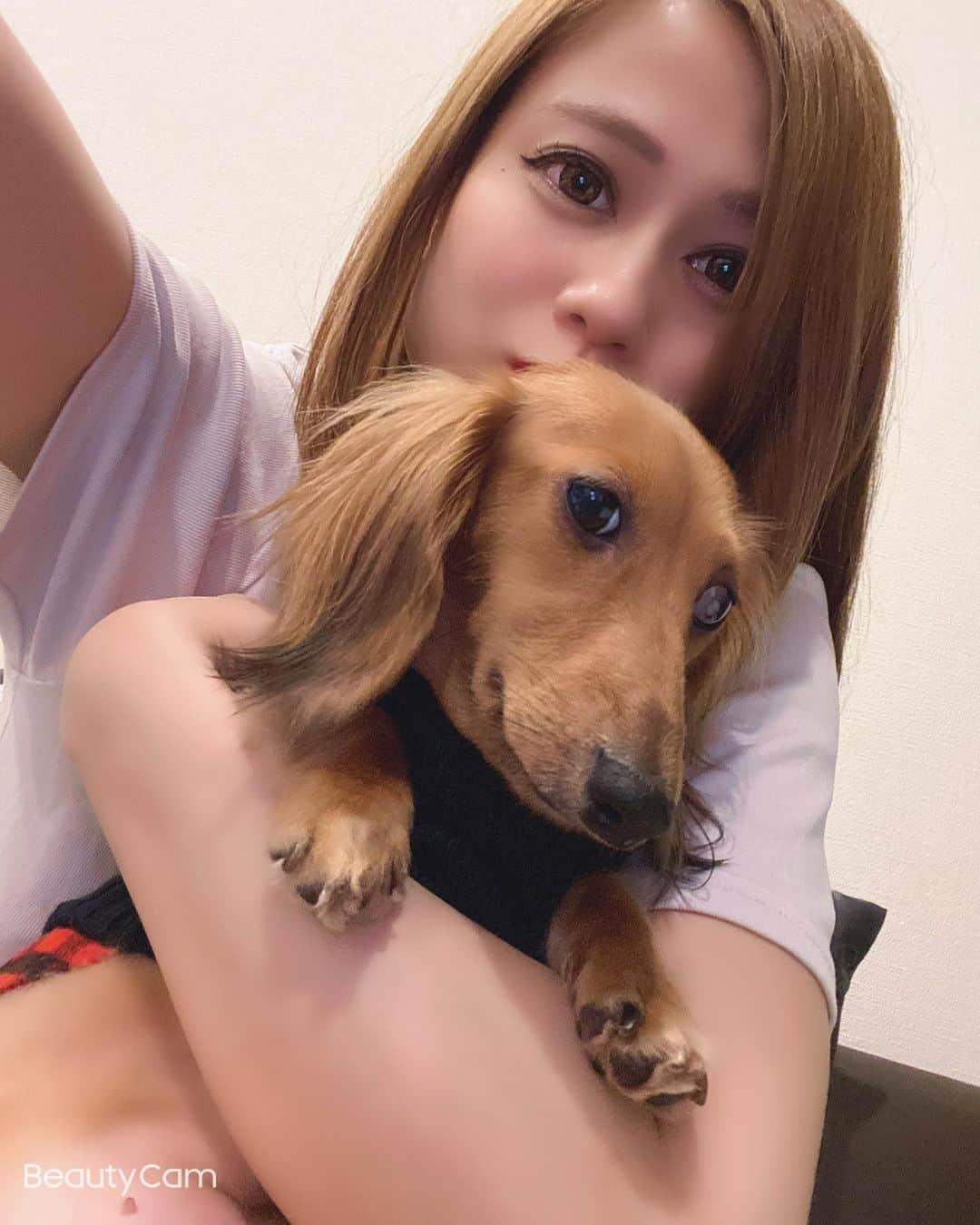 葉月るいのインスタグラム：「さらちゃんとツーショット🐶❤  #錦#錦3#サロンドゴールド#キャバクラ#キャバ嬢#サラちゃん#ミニチュアダックス#女の子#可愛い#プリンセス#わんちゃん大好き#もう時期4歳だけどまだ3歳」