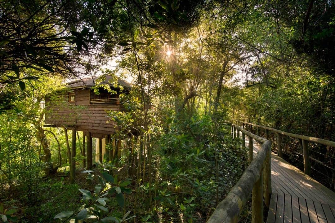 Lonely Planetのインスタグラム：「Treehouse holidays are a childhood dream come true - and built for social distancing!   We love this beautiful example in South Africa. Tap the link in bio for 8 more around the world you can rent for your next escape.  📸: @tsalatreetoplodge  #treehouse #southafrica #gardenroute #treehouses #socialdistancing #westerncape #treehousehotel」