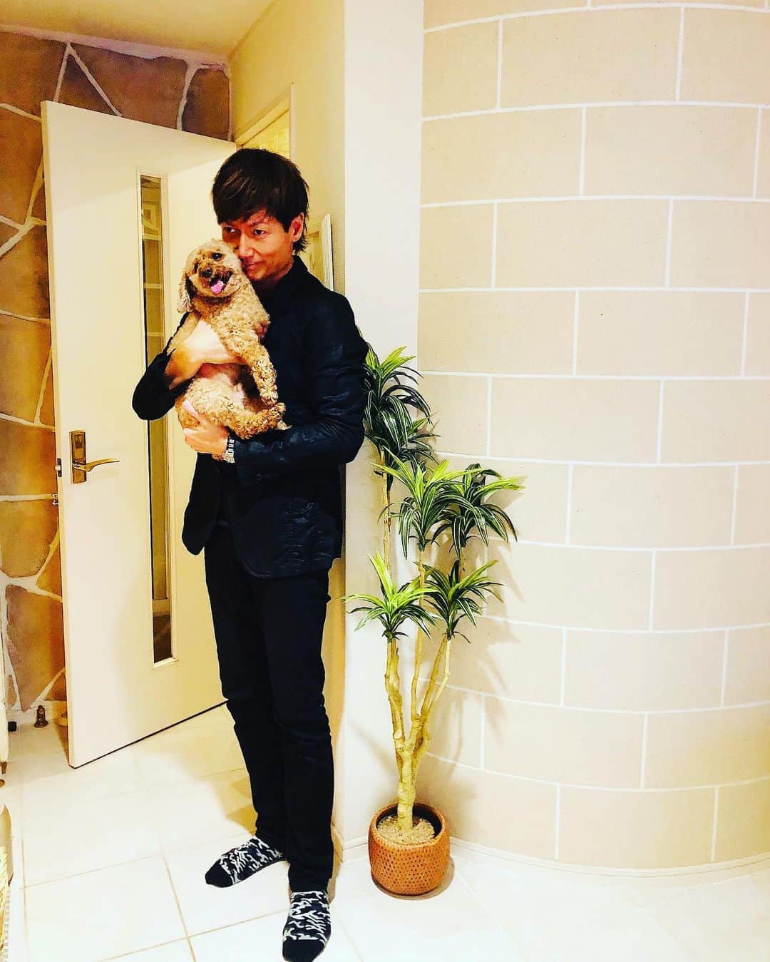 マイケル富岡のインスタグラム：「お仕事に行けないパターン♡パパ抱っこ…パパ連れてって…に負けた瞬間 #takemedaddy #愛犬 #愛犬家 #mybaby #love #日常の幸せ #癒し #actor #actorslife #shooting #マイケル富岡 #タレント #俳優 #撮影 #customculture #memento #filmproducer」