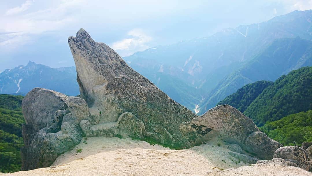 桜花さんのインスタグラム写真 - (桜花Instagram)「おはようございマウンテン🗻🍀  本日もナイスな１日にいたしましょ✨🍀 可愛いイルカ岩です🌷山にイルカはいるかい🐬？いるよ〜✨  #イルカ岩  #北アルプス  #花崗岩  #山  #山登り  #山歩き  #山 #mountain  #イルカ #mountains #mountainphoto  #hikewithpk」7月29日 9時11分 - mountainohka