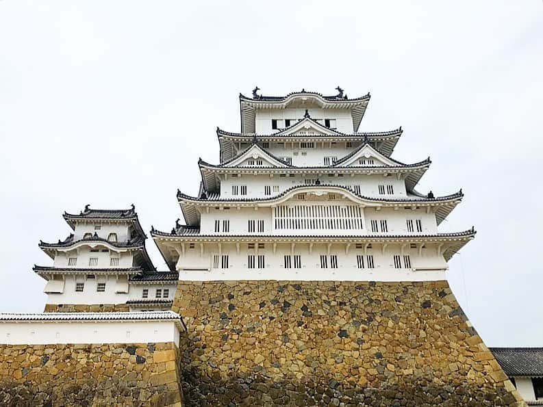 関西LIFE－homelife－のインスタグラム：「【兵庫県・姫路】 別名は白鷺城【姫路城】 姫路駅から真っ直ぐ進んだ場所にあってアクセス◎！ 国宝や重要文化財に指定、ユネスコの世界遺産リストに登録 日本100名城などにも選定されています(^^)/ . . @homelife_local では #homelife_兵庫 では兵庫のいいところを紹介していきます。みなさんの大好きな兵庫を教えてください。 . . #姫路城 #白鷺城 #はくろじょう #しらさぎじょう #お城 #城 #日本100名城 #江戸時代 #国宝 #重要文化財 ＃ユネスコ ＃世界遺産 ＃お散歩  #炭酸煎餅 #名産 #まったり #姫路観光 #姫路レジャー #姫路人気スポット #兵庫レジャー #兵庫巡り #兵庫旅行 #兵庫観光 #兵庫旅 #そうだ兵庫行こう #観光 #旅行 #兵庫 #japan #japantrip #japantrip2020 #hyogo」