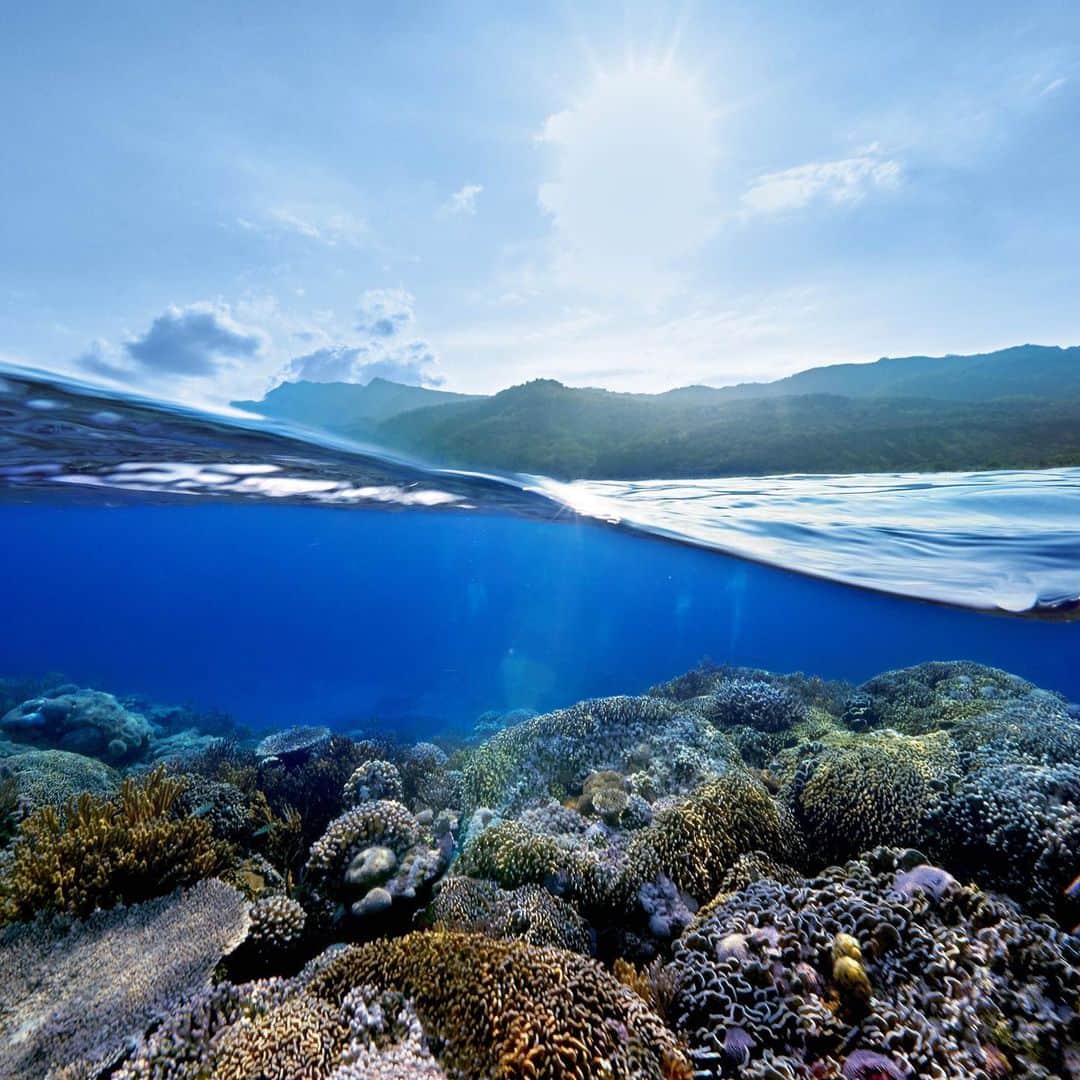ドゥラメールのインスタグラム：「ACTION FOR THE OCEAN: Whether you live by the ocean or just love to visit it—there are simple, sustainable habits to adopt. Utilize reusable tote bags, water bottles and coffee cups to prevent future ocean pollution. #LaMerBlueHeart」