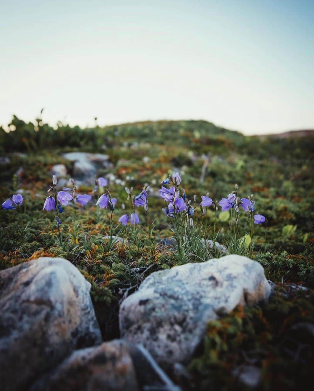 FOLKのインスタグラム：「Where’s the place you most desperately want to visit? Today’s favorites: 1.) @karaokeefe 2.) @iam_bradmatthews 3.) @albeross_ 4.) @nbroning 5.) @brycevisions 6.) @chrishenry」