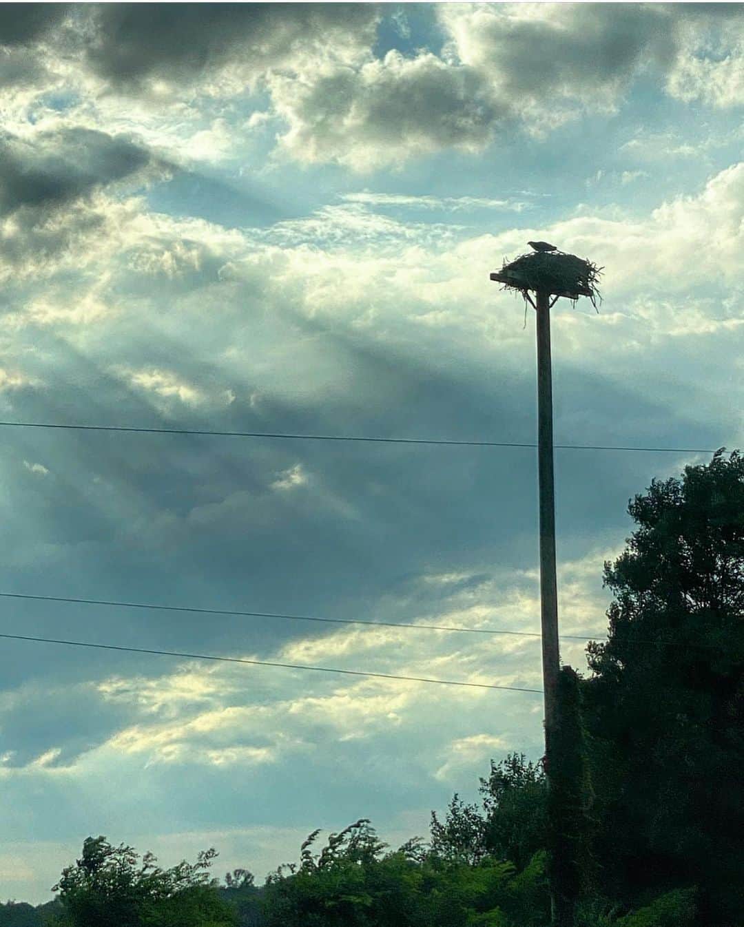 クリスティ・ブリンクリーさんのインスタグラム写真 - (クリスティ・ブリンクリーInstagram)「I had my eye on the magnificent sky all the live long Day! It pays to keep looking up! 🌝☁️🌥⛅️🌦🌙 #cloudappreciationsociety」7月29日 10時00分 - christiebrinkley