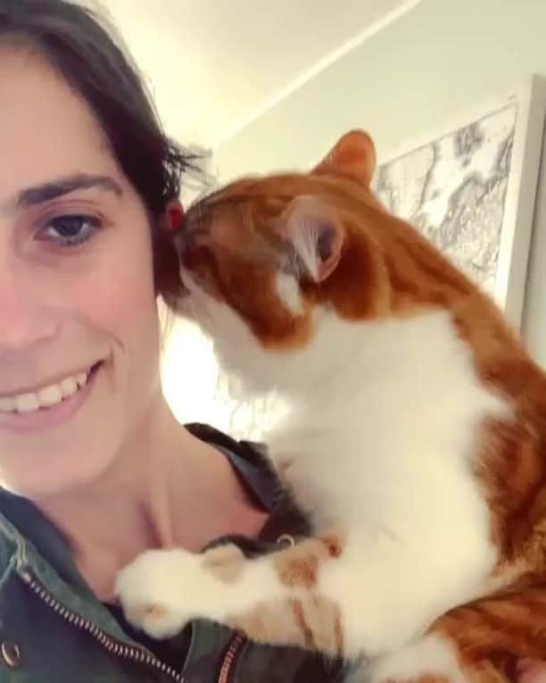 のインスタグラム：「[🔊]Whispering sweet meowthings into mom’s ear⠀ ⠀ 🎥@lil_leocat⠀ ⠀ Tag #MMGTW get a chance to be featured by @9gag , @meowed and 9GAG Cute⠀⠀⠀⠀⠀⠀⠀⠀⠀ ⠀⠀⠀⠀⠀⠀⠀⠀⠀ #meowed @meowed #MyMeowGotTalentWeek #MyMeowGotTalent #MMGTW #lilleocat #soundon #volumeup #🔊#whispering #quarantine #fiftyshadesofginger」