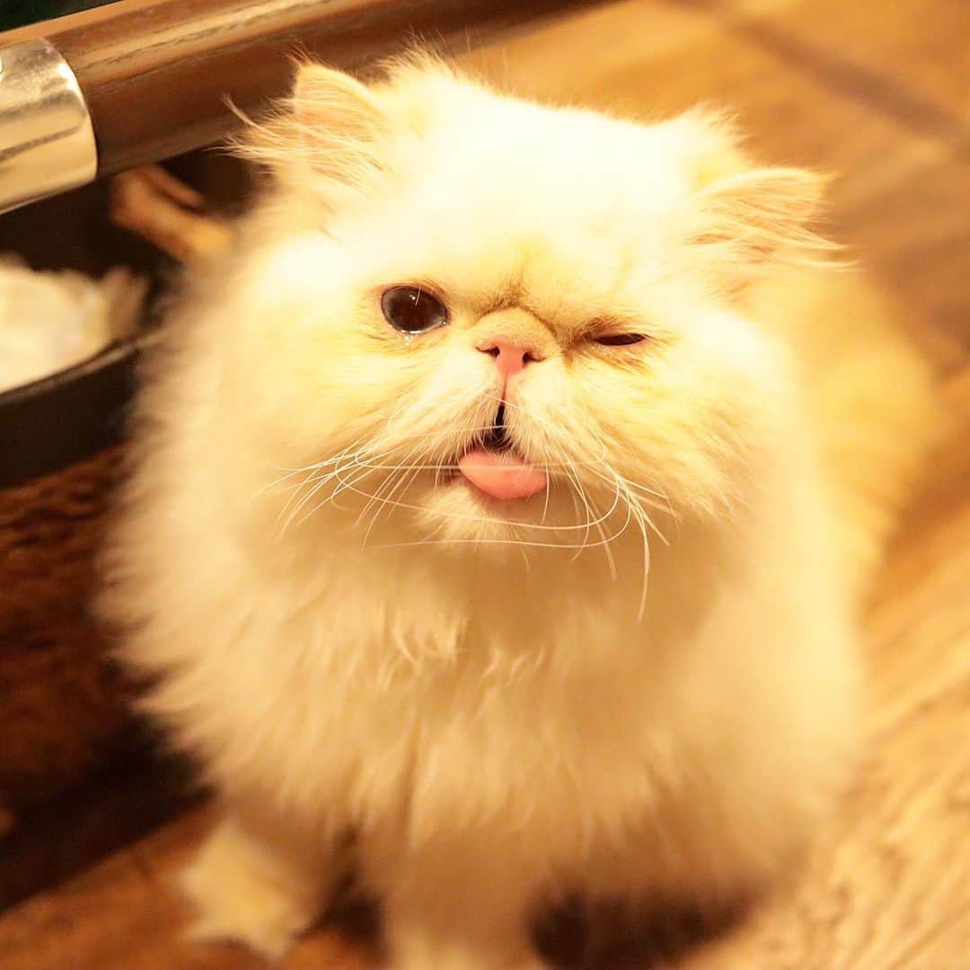 Qのインスタグラム