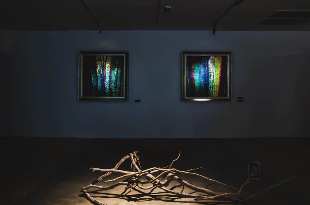 落合陽一のインスタグラム：「#reminiscence_of_the_unknown #未知への追憶　#落合陽一個展 #落合陽一 #yoichiochiai #shibuya #nofilter」
