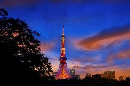 ザ・プリンス パークタワー東京さんのインスタグラム写真 - (ザ・プリンス パークタワー東京Instagram)「事前予約制でゆったりとおくつろぎいただけるおとなの夕涼みカフェ「SUZUMUSHI CAFÉ」、開放感ある芝生の上での夜ピクイベント「MOONLIGHT PARK」が、8月1日(土)から8月30日(日)まで期間限定で開催いたします！ 東京タワーを眺めながら、自然に囲まれた空間の中のびのびとお楽しみいただけます。 今年の夏は、ザ・プリンス パークタワー東京で満喫しませんか？ 「SUZUMUSHI CAFÉ」･「MOONLIGHT PARK」の詳細は、プロフィール欄のURLより #TOKYO夕涼み2020 #SUZUMUSHICAFE #MOONLIGHTPARK #TokyoTower #princeparktower #princehotels #tokyo #japan #beautifulhotels #tokyohotel #shibakoen #akabanebashi #azabujuban #thepereferredlife #nightpicnic」7月29日 10時29分 - princeparktowertokyo