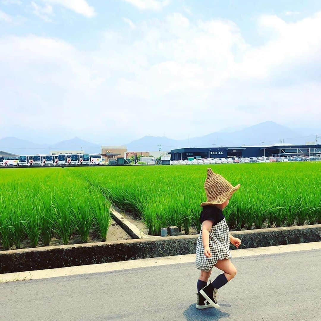 西条市さんのインスタグラム写真 - (西条市Instagram)「【LOVESAIJOじかん】﻿ ﻿ 夏のおしゃれボーイ。﻿ ﻿ ご家族からの、かわいいキッズ投稿待ってます◎﻿ ﻿ #いよ西条 #伊予西条 #愛媛 #四国 #瀬戸内 #Ehime #Shikoku #Setouchi #inaka #田舎暮らし #愛媛旅行 #四国旅行﻿ ﻿ ﻿ ﻿ ﻿ Repost @kanmonchi66﻿ ・・・﻿ 𓇢﻿ 2020.07.18☀︎sat﻿ ﻿ ⛰🚌🌾👒👦🏻💚﻿ ﻿ #lovesaijo﻿ #lovesaijoじかん﻿」7月29日 10時33分 - lovesaijo