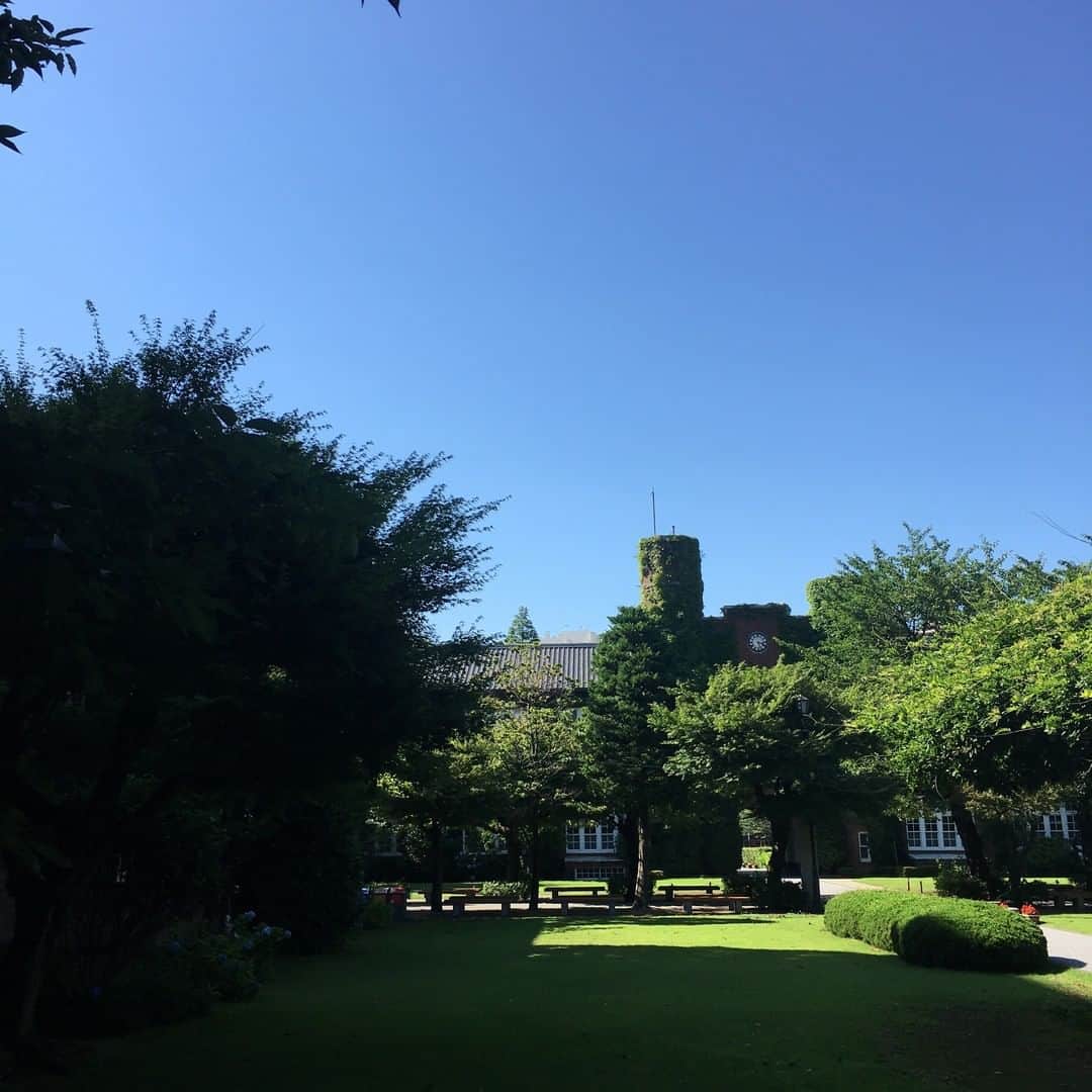 立教大学のインスタグラム