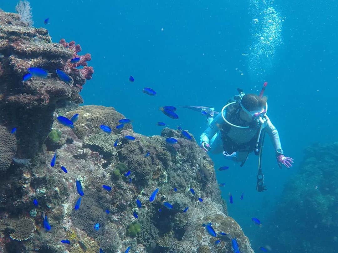 七海のインスタグラム