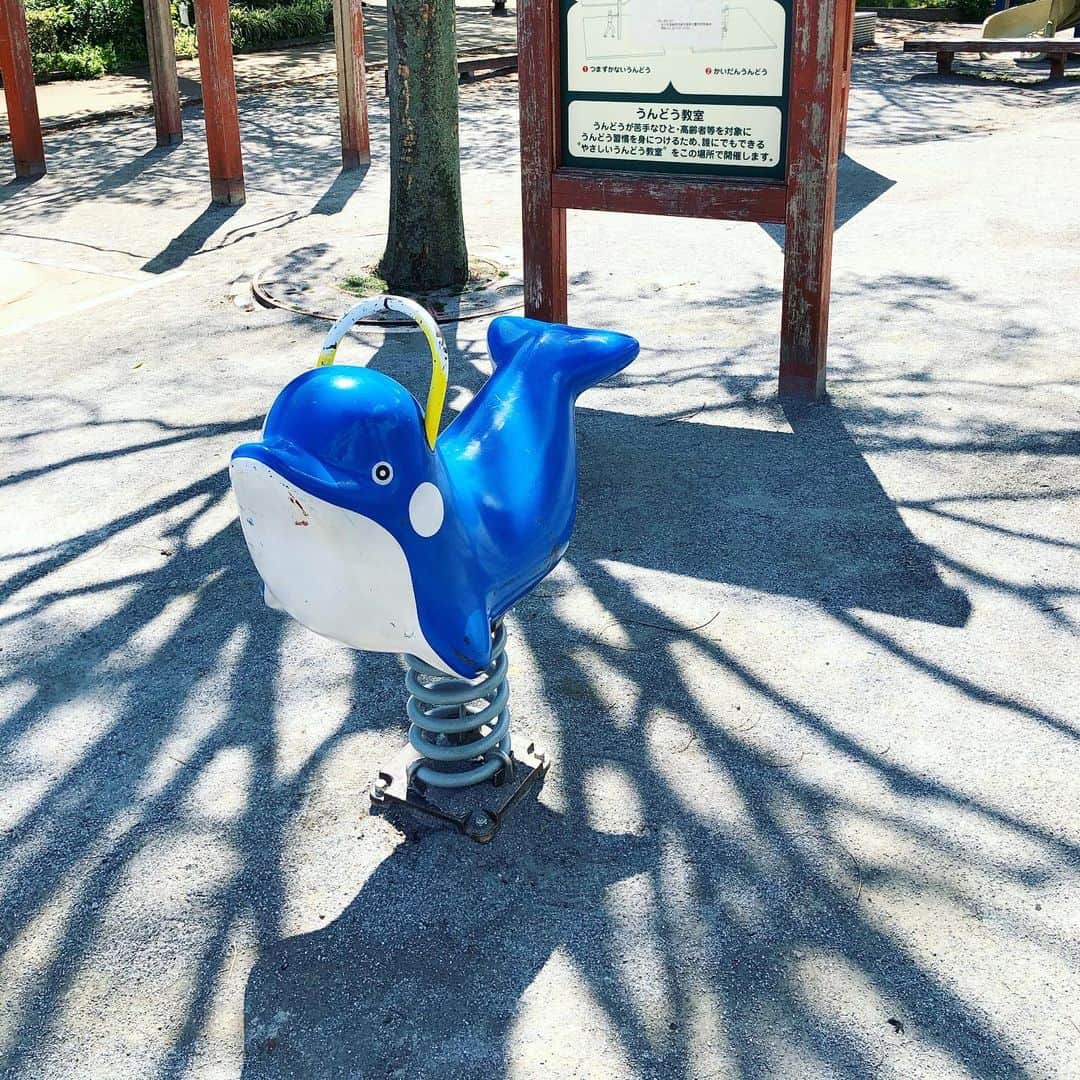 岡田育さんのインスタグラム写真 - (岡田育Instagram)「Social Distancing Playgrounds. 🐬💔🐇 乗れないとわかると乗りたくなる……。」7月29日 11時25分 - okadaic
