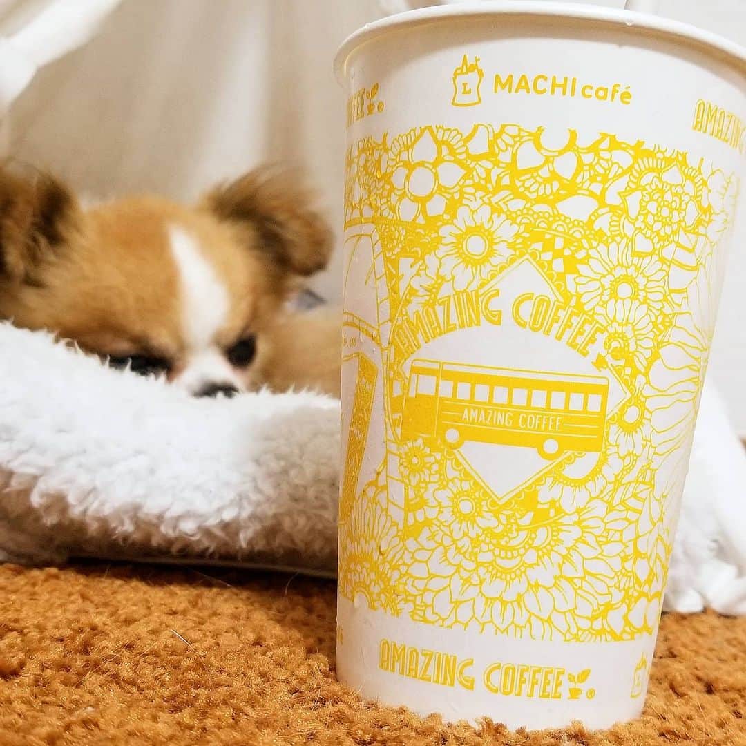 石関友梨のインスタグラム：「アイスチョコチョコモーモー🐮🌱 ローソンの新作MACHICafe  アイスチョコレートラテに黒蜜わらびもちの新食感ラテ✨  カップのデザインが可愛いすぎて ため息♥  #アイスチョコチョコモーモーwith黒糖わらびもち #アイスチョコチョコモーモー #ローソン #新作 #スイーツ #Cafetime #machicafe #amazingcoffee #イエローカップ #withユニ #チワワ」