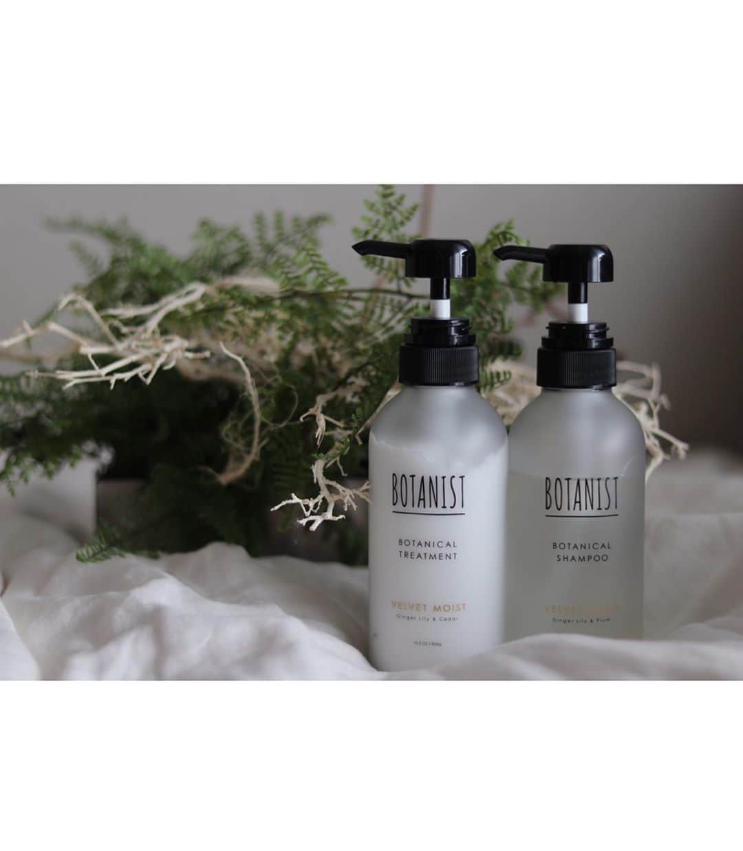 *✭ᏋണᎥ✭*さんのインスタグラム写真 - (*✭ᏋണᎥ✭*Instagram)「ㅤㅤㅤㅤㅤㅤㅤㅤ ㅤㅤㅤㅤㅤㅤㅤㅤ  あのBOTANISTからヘアケアのプレミアムラインが出た☻ ㅤㅤㅤㅤㅤㅤㅤㅤ @botanist_official とっても潤うのにサラサラもしてて 軽いのに毛先は綺麗にまとまるの🥺 ㅤㅤㅤㅤㅤㅤㅤㅤ 1枚目の写真、左がbeforeで右がafter ㅤㅤㅤㅤㅤㅤㅤㅤ  潤い･サラサラ･まとまり←伝わるかな✨ ㅤㅤㅤㅤㅤㅤㅤㅤ  昔ながらの和の成分が配合されてるんだって☺️ ㅤㅤㅤㅤㅤㅤㅤㅤ  髪や仕上がり感で２種類選べるよ❤︎ ㅤㅤㅤㅤㅤㅤㅤㅤ ㅤㅤㅤㅤㅤㅤㅤㅤ  #BOTANIST #ボタニスト #高品質 #ボタニカルシャンプー #botanicalbeauty #PR」7月29日 17時05分 - emiliopucci__