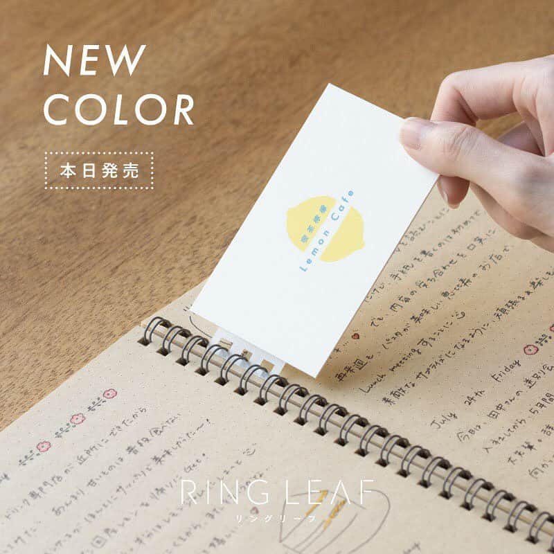 のインスタグラム：「🎊本日発売🎊『リングリーフ』の新色〈トウメイ〉と〈モモイロ〉 . カードや書類をリングノートに”つなぐ” 新発想のふせんパーツ『リングリーフ』🌱 . 今回新たにラインナップに加わる 〈トウメイ〉と〈モモイロ〉が、 本日より販売開始です！🎉 . 〈トウメイ〉は、パーツの全面が半透明の新タイプ！ ”目立ちにくさ”を追求したシンプルさで、 ノートの誌面になじんですっきりと使えます✨ . 〈モモイロ〉は、キュートで華やかな色合い🌸 単色使いはもちろん、 既存の〈ミズイロ〉〈キイロ〉と組み合わせれば より楽しくお使いいただけます📒 . ノートの整理や日々の記録づけに ぴったりな『リングリーフ』☺️ 新色もぜひチェックしてみてください👀 . ＊商品詳細は、プロフィールより弊社公式HPをご覧ください。 ＊ロフトや東急ハンズ、全国の文具専門店・量販店（一部店舗）にてお取り扱いいただいております。 ＊各店舗の在庫状況は、お手数をおかけいたしますが、お客さまより直接販売店舗さまへご確認ください。 ＊カンミ堂公式オンラインストア［PETICA-プチカ-］・Amazonでもお取り扱いがございます。 .  #new #新商品 #RINGLEAF #リングリーフ  #カンミ堂 #kanmido #ライフログ #マイノート #アルバム #リングノート #シンプル #手軽 #stationery #bungu #文具 #文房具 #文房具好き #stationeryaddict」
