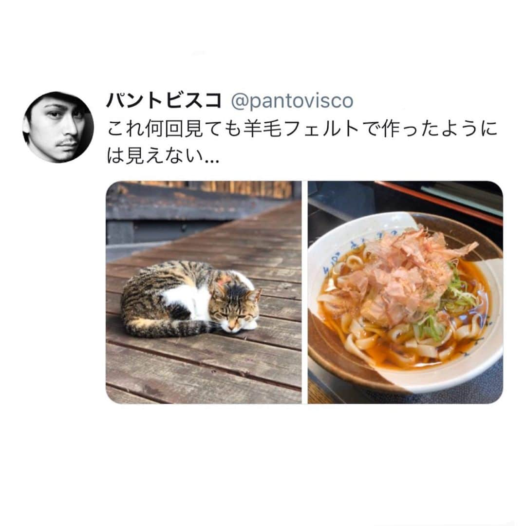 pantoviscoのインスタグラム