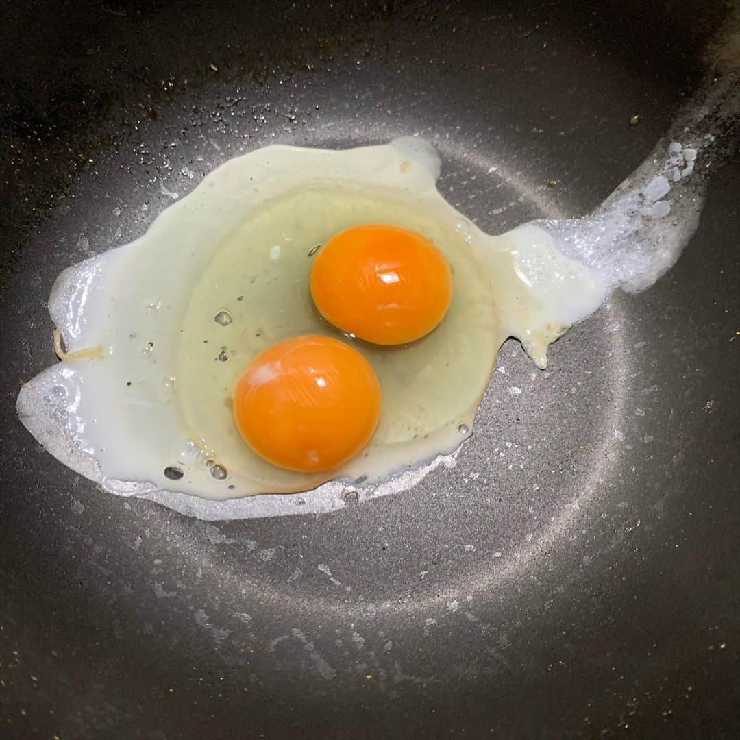 HONOKAのインスタグラム：「.〻  このあいだ友達のお家で出会った双子ちゃん🍳🍳笑  なんかこういう何気ない小さなハッピーが毎日続けばいいなとふと感じることが多くなったような。  さて、お昼ご飯何食べようかな🍳」