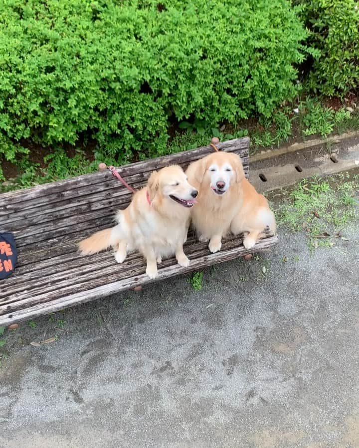 まゆみのインスタグラム