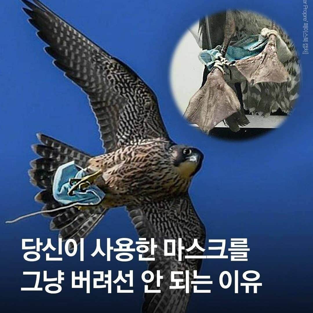 ユソンさんのインスタグラム写真 - (ユソンInstagram)「요즘 길을 걷다보면.. 여기저기 버려진 마스크를 보게 되죠? ㅠㅠ  마스크 하나 구하려고 줄을 서던 때도 있었는데.. 여기저기 버려진 마스크를 볼때마다  씁쓸할때가 있더라구요!.. 근데 이 버려진 마스크들이 환경을 위협하고 있다고합니다! 특히 요즘같은 휴가철.. . .  마스크 착용도 중요하지만.. 사용한 마스크는 꼭 잘 버리는 것도 중요한것 같아요!! !!  우리 함께 지켜요🙏 #마스크아무데나버리지않기 #우리환경은우리가지켜요  #마스크없는세상이올때까지 #좀만더힘내자구요 💪」7月29日 12時28分 - yoo_sun0129