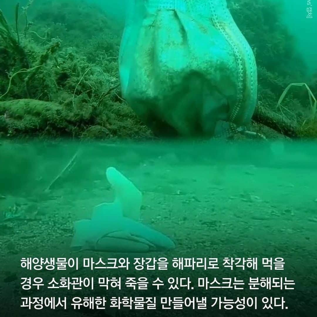 ユソンさんのインスタグラム写真 - (ユソンInstagram)「요즘 길을 걷다보면.. 여기저기 버려진 마스크를 보게 되죠? ㅠㅠ  마스크 하나 구하려고 줄을 서던 때도 있었는데.. 여기저기 버려진 마스크를 볼때마다  씁쓸할때가 있더라구요!.. 근데 이 버려진 마스크들이 환경을 위협하고 있다고합니다! 특히 요즘같은 휴가철.. . .  마스크 착용도 중요하지만.. 사용한 마스크는 꼭 잘 버리는 것도 중요한것 같아요!! !!  우리 함께 지켜요🙏 #마스크아무데나버리지않기 #우리환경은우리가지켜요  #마스크없는세상이올때까지 #좀만더힘내자구요 💪」7月29日 12時28分 - yoo_sun0129