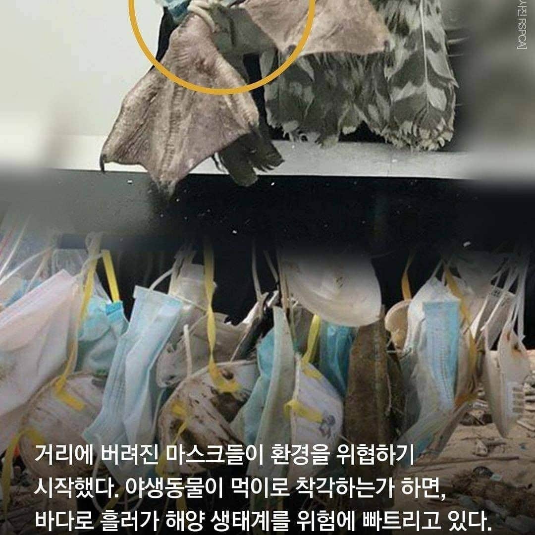 ユソンさんのインスタグラム写真 - (ユソンInstagram)「요즘 길을 걷다보면.. 여기저기 버려진 마스크를 보게 되죠? ㅠㅠ  마스크 하나 구하려고 줄을 서던 때도 있었는데.. 여기저기 버려진 마스크를 볼때마다  씁쓸할때가 있더라구요!.. 근데 이 버려진 마스크들이 환경을 위협하고 있다고합니다! 특히 요즘같은 휴가철.. . .  마스크 착용도 중요하지만.. 사용한 마스크는 꼭 잘 버리는 것도 중요한것 같아요!! !!  우리 함께 지켜요🙏 #마스크아무데나버리지않기 #우리환경은우리가지켜요  #마스크없는세상이올때까지 #좀만더힘내자구요 💪」7月29日 12時28分 - yoo_sun0129