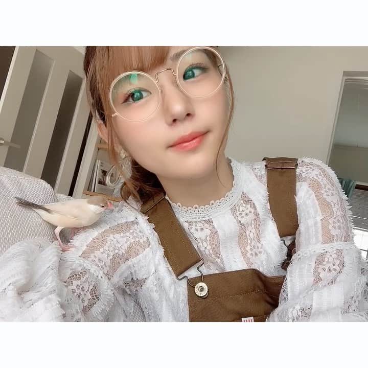 長谷川かすみのインスタグラム：「動画率高め😂 おにゅーのめがねだよって写真撮ろうとしたらマヨが戦い出したから動画にした🤣」