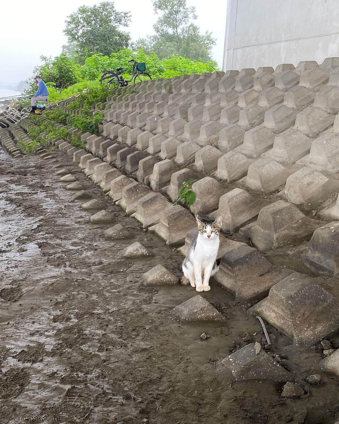 永山竜弥のインスタグラム