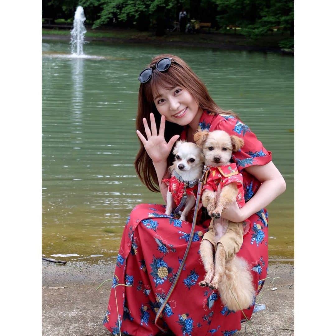 堀尾実咲のインスタグラム：「🐻🐰❤️  #愛犬 #お散歩 #公園 #portrait」