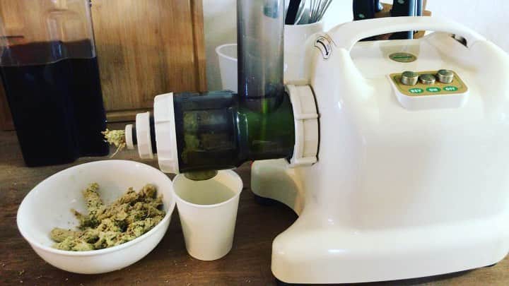 のインスタグラム：「石臼ジューサーで 月桃の実を絞ってみました。  #月桃の実 #石臼ジューサー」