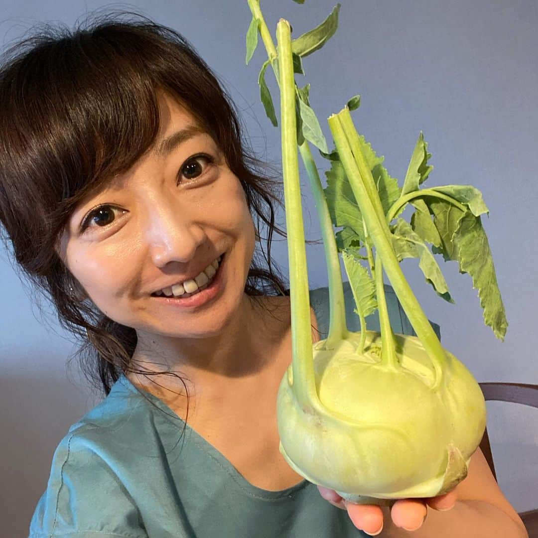 佐藤彩さんのインスタグラム写真 - (佐藤彩Instagram)「「コールラビ」という野菜をご存知ですか？？  今日はビックリしました😳！！ リスナーさんのなかで、このコールラビを育てている方がいらっしゃるとは😳！！  私にとっては、先日初めて出会った野菜🥬 気になって購入してみたのですが…  味は、ブロッコリーの芯の感じに似ていて…🥦 キャベツっぽさもあります。  食感は、煮込むとダイコンに似ていました😃  私は、ラタトゥイユとイタリアン風味の炒め物を作って食べましたよ☺️ ついでに…このときピザも焼いたので、写真だけ載せておきます。  ちなみに… コールラビのコールは、ドイツ語でキャベツ。 ラビはカブ、だそうです💡  #コールラビ #初めて食べた #知らない野菜はまだまだたくさんある #ラタトゥイユ もオススメ #ポトフにしても美味しいらしい #たしかに #リトルグリーンメン に似てるかも #HBC #北海道放送 #アナウンサー #佐藤彩」7月29日 13時32分 - hbc_ayasato