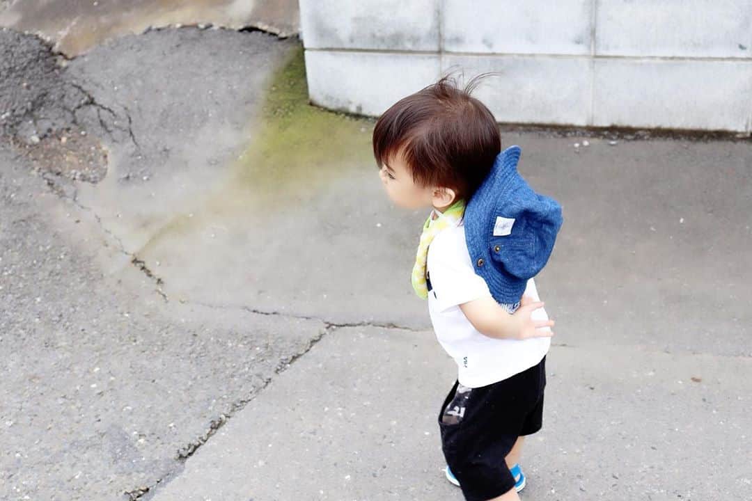 Momoeのインスタグラム：「. .  歩き方おじいちゃんやないか💬 . . #happy #家事 #育児 #family #家族 #boy #smile #男の子 #息子 #code #love #lucky #kids #子供 #thankyou #宝物 #ベビー #fashion #follow #心 #縁 #パパ #ママ #家族写真 #男の子ママ #赤ちゃん写真 #photo #子育て #1歳 #flower」