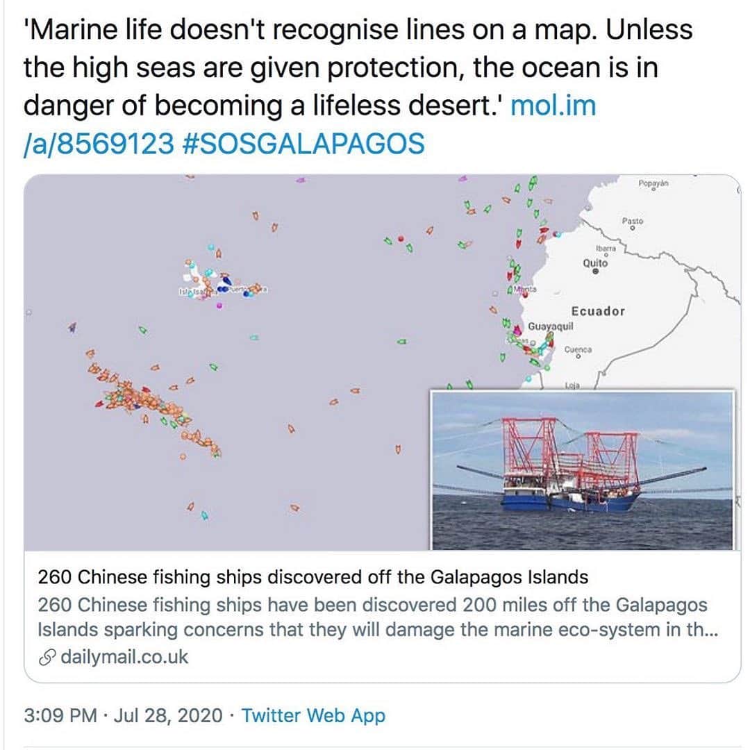 ジェイソン・モモアさんのインスタグラム写真 - (ジェイソン・モモアInstagram)「Repost from @savethereef • BREAKING NEWS: A 260 boat-strong Chinese fishing fleet has been detected surrounding the Galapagos islands off the coast of Ecuador, according to the country’s navy. WE MUST ALL SIGN THE PETITION TO PROTECT THE WILDLIFE THERE & SHARE THIS TO MAKE THIS GO VIRAL so the ships stop disturbing this UNESCO World Heritage Site celebrated for its unique wildlife and biodiversity! Currently, the ships are outside a 188-mile wide exclusive economic zone around the island, but their presence has already raised the prospect of serious damage to the delicate marine ecosystem, said a former environment minister, Yolanda Kakabadse. “This fleet’s size and aggressiveness against marine species is a big threat to the balance of species in the Galápagos.” On Monday, Kakabadse was put in charge of designing a “protection strategy” for the islands, which lie 563 miles west of the South American mainland and we MUST all help protect this important ecosystem by signing the petition to stop allowing these vessels to get away with this (see link in our story/highlights) and sharing this with everyone we know because it’s going to take widespread international pressure and much more news coverage to stop this environmental tragedy from happening! We cannot allow a repeat of 2017 when the Ecuadorean Navy captured a Chinese vessel, The Fu Yuan Yu Leng 999, which was part of a similar-sized fishing fleet, and found to be carrying 300 tons of marine wildlife, with more than 6,000 illegally killed sharks. WE CANNOT ALLOW THAT TO HAPPEN AGAIN HERE so please sign the petition/share this news with your followers & tag people, celebrities, influencers and news media who need to see it and let’s protect the marine life of the Galápagos Islands! Thank you for the heads up @sosgalapagos @jim_abernethy #galapagosislands #saveouroceans #stopillegalfishing #karmagawa #savethereef」7月29日 14時45分 - prideofgypsies