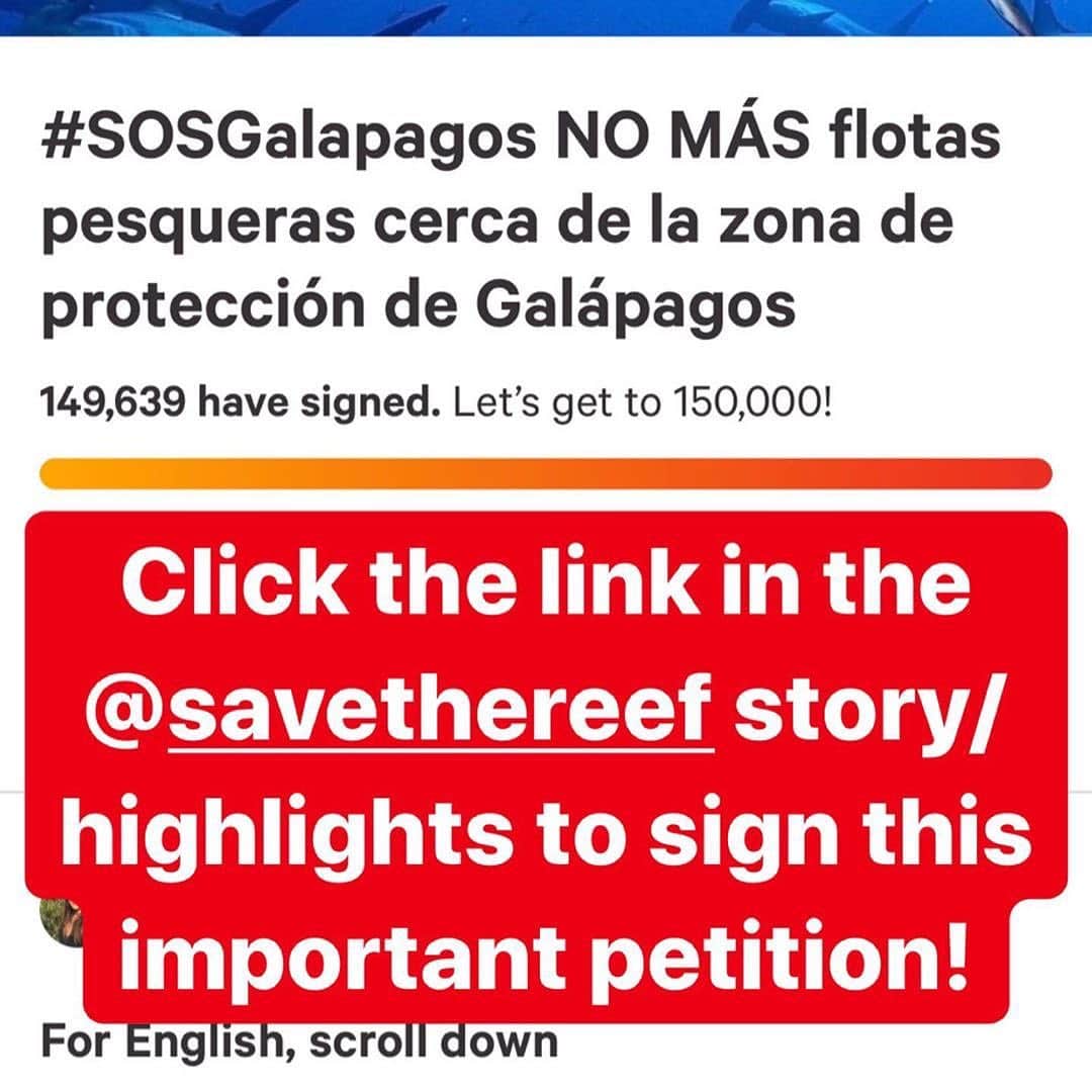 ジェイソン・モモアさんのインスタグラム写真 - (ジェイソン・モモアInstagram)「Repost from @savethereef • BREAKING NEWS: A 260 boat-strong Chinese fishing fleet has been detected surrounding the Galapagos islands off the coast of Ecuador, according to the country’s navy. WE MUST ALL SIGN THE PETITION TO PROTECT THE WILDLIFE THERE & SHARE THIS TO MAKE THIS GO VIRAL so the ships stop disturbing this UNESCO World Heritage Site celebrated for its unique wildlife and biodiversity! Currently, the ships are outside a 188-mile wide exclusive economic zone around the island, but their presence has already raised the prospect of serious damage to the delicate marine ecosystem, said a former environment minister, Yolanda Kakabadse. “This fleet’s size and aggressiveness against marine species is a big threat to the balance of species in the Galápagos.” On Monday, Kakabadse was put in charge of designing a “protection strategy” for the islands, which lie 563 miles west of the South American mainland and we MUST all help protect this important ecosystem by signing the petition to stop allowing these vessels to get away with this (see link in our story/highlights) and sharing this with everyone we know because it’s going to take widespread international pressure and much more news coverage to stop this environmental tragedy from happening! We cannot allow a repeat of 2017 when the Ecuadorean Navy captured a Chinese vessel, The Fu Yuan Yu Leng 999, which was part of a similar-sized fishing fleet, and found to be carrying 300 tons of marine wildlife, with more than 6,000 illegally killed sharks. WE CANNOT ALLOW THAT TO HAPPEN AGAIN HERE so please sign the petition/share this news with your followers & tag people, celebrities, influencers and news media who need to see it and let’s protect the marine life of the Galápagos Islands! Thank you for the heads up @sosgalapagos @jim_abernethy #galapagosislands #saveouroceans #stopillegalfishing #karmagawa #savethereef」7月29日 14時45分 - prideofgypsies