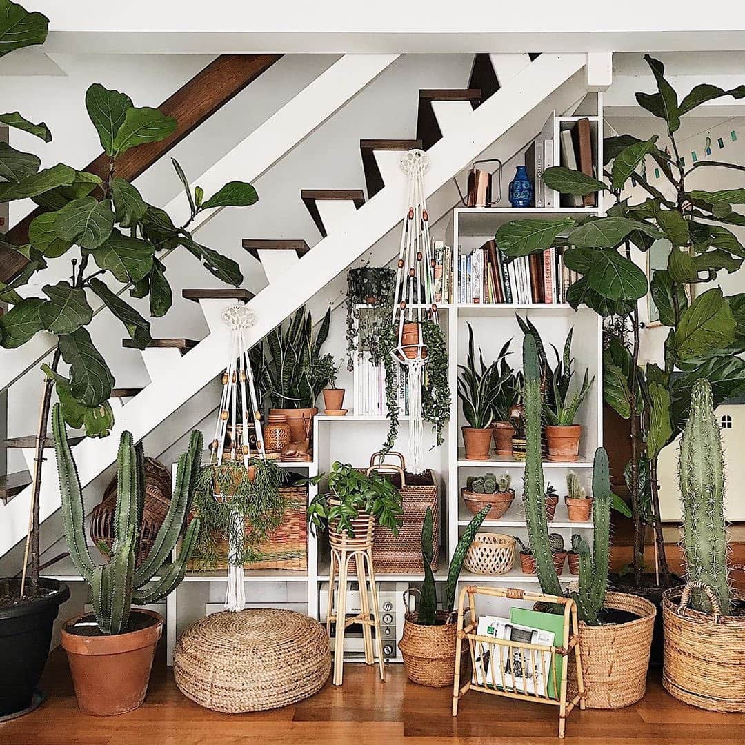 Instagramさんのインスタグラム写真 - (InstagramInstagram)「Welcome to the (indoor) jungle. 🌿💚🌵⁣ ⁣ “Every room in our home has plants in it. Every windowsill is filled. A green guy guards every shelf, and I wouldn’t have it any other way,” says Kate Chilver (@tribeandus), a photographer who shares her plant-filled home with her partner Craig and their three children: Marcie, Rowe and Bodhi.⁣ ⁣ “Rowe is always on the lookout for new growth. You can always find Marcie sticking her finger in the dirt to check if they need water. And Bodhi is our plant whisperer, talking and stroking plants is what he does best,” explains Kate, whose hobby of collecting cactuses as a child blossomed into an obsession.⁣ ⁣ “I am not trying to re-create a forest in my home, or at least I don’t think I am, but plants do make me extremely happy and fill me with tranquility,” says Kate. “I hope our plants bring some calmness to a house full of energy and madness… it can get a little manic at times but having plants creates uniqueness and comfort for us all.”⁣ ⁣ #ThisWeekInstagram⁣ ⁣ Photos by @tribeandus」7月30日 1時17分 - instagram