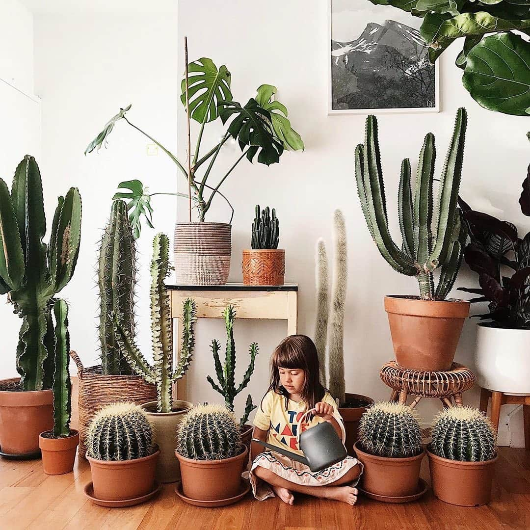 Instagramさんのインスタグラム写真 - (InstagramInstagram)「Welcome to the (indoor) jungle. 🌿💚🌵⁣ ⁣ “Every room in our home has plants in it. Every windowsill is filled. A green guy guards every shelf, and I wouldn’t have it any other way,” says Kate Chilver (@tribeandus), a photographer who shares her plant-filled home with her partner Craig and their three children: Marcie, Rowe and Bodhi.⁣ ⁣ “Rowe is always on the lookout for new growth. You can always find Marcie sticking her finger in the dirt to check if they need water. And Bodhi is our plant whisperer, talking and stroking plants is what he does best,” explains Kate, whose hobby of collecting cactuses as a child blossomed into an obsession.⁣ ⁣ “I am not trying to re-create a forest in my home, or at least I don’t think I am, but plants do make me extremely happy and fill me with tranquility,” says Kate. “I hope our plants bring some calmness to a house full of energy and madness… it can get a little manic at times but having plants creates uniqueness and comfort for us all.”⁣ ⁣ #ThisWeekInstagram⁣ ⁣ Photos by @tribeandus」7月30日 1時17分 - instagram