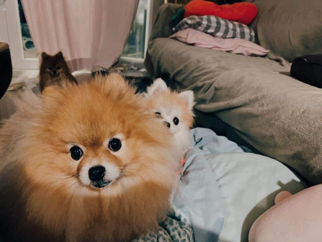 r_oseのインスタグラム：「I’m here too, mommm🐰〰️」