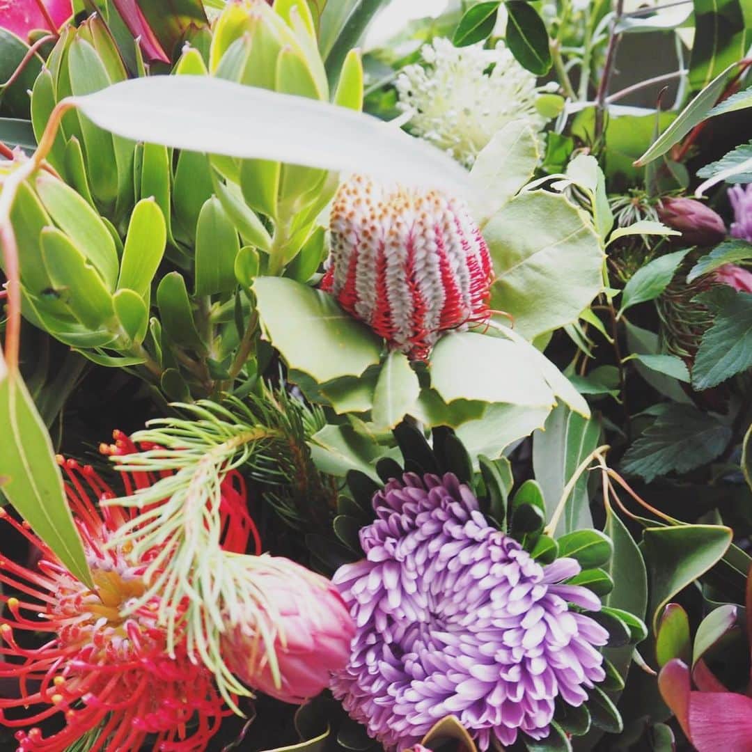 座間アキーバのインスタグラム：「I had the privilege of providing flowers for the passing of a dear friends father. The flowers were a combination of flowers native to Australia, where My friends Dad was from. In Japan, traditionally the funerals are mostly a Buddhist affair, so the flowers are limited to white chrysanthemums and Lily’s. I was actually a little nervous going completely against the traditional rules, but I’m glad I did. The family was happy and in the end, that’s all that matters. RIP and thank you for reminding me of how special my job is.」
