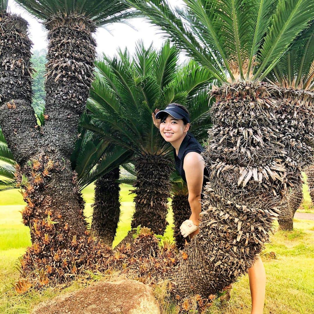 江原詩織さんのインスタグラム写真 - (江原詩織Instagram)「ハワイ島でゴルフしてきました🌺  嘘です🐒♡  実際はへたっぴメンバーいち推しの鴨川ccへ行ってきました⛳️  渋滞により3時間かかり車酔いで志村けんみたいな嗚咽を漏らしながら、ストレッチもなしにスタートした鴨川は台風の如く強風で、ある意味で最高のコンディションでした🤢笑  ベスト出そうね✊✨ って話してた勢いは+4 +4 と叩いて木っ端微塵になり、ハーフ60叩くんじゃないかって恐怖に苛まれた程。笑  8.0feetのグリーンはどんなにナイスパットしたと思っても男子高校生がテレビアイドルに恋してる想いの如く届かず💔  鴨川なんて2度と来るか！って気持ちになりかけたところで吐き気と天候が回復し始め、落ち着いてプレーが出来るように◎  後半は圧巻の大自然とひぐらしの鳴く声に癒され、鴨川の良さを実感することができました🙌✨  とりあえず分かったことはここでベスト出そうってするのは無謀ってこと。笑笑  よく言う、ベスグロの聖地とやらも、後ろからは難しかったり、100切りするには簡単だけど80台出すには優しくはない、とかってなるし、  どのティーから周っても簡単でベストが出るコースってどこなんだろう？🤔  #短くて優しいコースで周りたい #ベスト更新できるコースが知りたい #ゴルフスイング #golfswing  #上手くなりたい  #女子ゴルフ  #ゴルフ女子  #ゴルフ男子  #ゴルフ愛  #ゴルフバカ  #ゴルファー　 #golfrange  #golflife  #golfer  #golf  #골프  #กอล์ฟ  #golfstagram  #instagolf」7月29日 19時16分 - shiori__golf