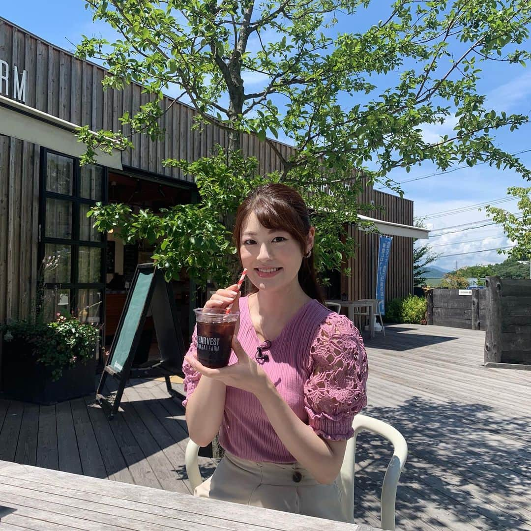 小宮山瑞季さんのインスタグラム写真 - (小宮山瑞季Instagram)「青空の下、コーヒーをごくごく☕💭💕 ここは東御市にあるカフェ！ 1日に200個以上売れることもあるという大人気のソフトクリームがあるんです‪🍦‬ 今週のこれダネッ！でチェックして下さい(ﾟOﾟ)🌸🍃 ・ #土曜はこれダネッ #夏に食べたい #スイーツ #sweets #爆売れ #ソフトクリーム #softcream #牛乳 #milk #ヒントは #牧場 #farm #coffee #も美味しかった #青空 #カフェテラス #夏休み #summertime #cafestagram #長野放送 #アナウンサー #小宮山瑞季」7月29日 19時28分 - komiyama_mizuki